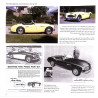 Factory-Original Austin-Healey 100/6 & 3000