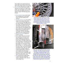 Triumph TR4/4A & TR5/250 - Alle modellen 1961 tot 1968